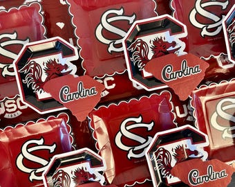 USC Gamecocks Party Supplies, Birthday, Graduation Decorations, Football Game University of South Carolina Tableware (37 Pieces, Serves 12)