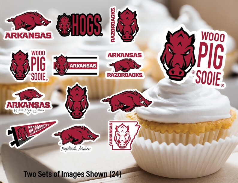 Arkansas Razorbacks Party Supplies, Birthday Party, Graduation ...