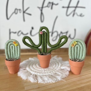 May include: Three handmade cactus decorations in terracotta pots. The cacti are made of green yarn and have small, colorful flowers. They sit on a white macrame coaster. A sign in the background reads "Look for the rainbow."