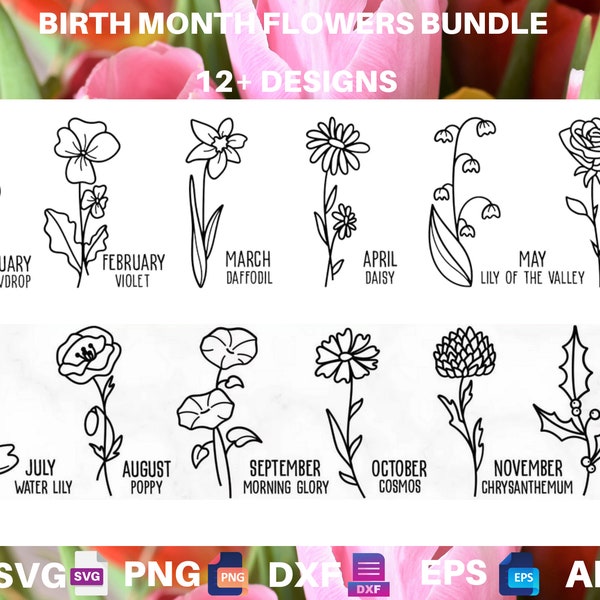 12+Birth Month Flowers Svg, Wildflower svg,Birthday Flower, Flower Clipart, Botanical svg ,Floral Svg ,Daisy svg ,Rose svg, Poppy svg png