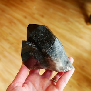 4.5″ Smoky Quartz Cluster with Gold Rutile and Record Keepers – COLOR ENHANCED 1.4 Lbs