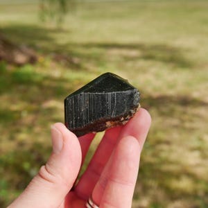 May include: A black tourmaline crystal with a triangular shape and vertical striations. The crystal is held in a hand, showcasing its dark, polished surface and natural, rough base. The background is a blurred view of green grass and trees.
