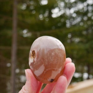 Piedra de palma o galletita de ágata flor de 2,5″ 4,9 oz