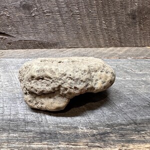 May include: A rough, irregularly shaped beige and light brown stone with a porous, textured surface. The rock features a dense, weathered appearance with small pits and crevices across its exterior, showcasing natural geological formations.