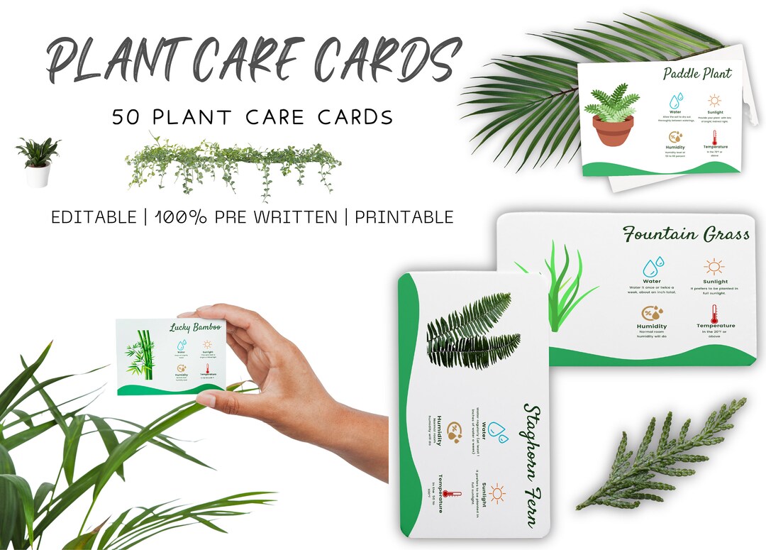 50 Houseplant Plant Care Cards Plant Label Printable Etsy