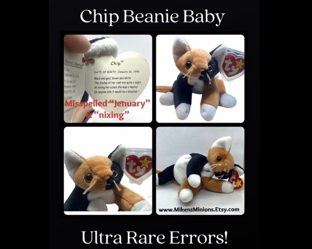 ULTRA RARE Chip Beanie Baby With ERRORS, Mispelled Jenuary, Retired