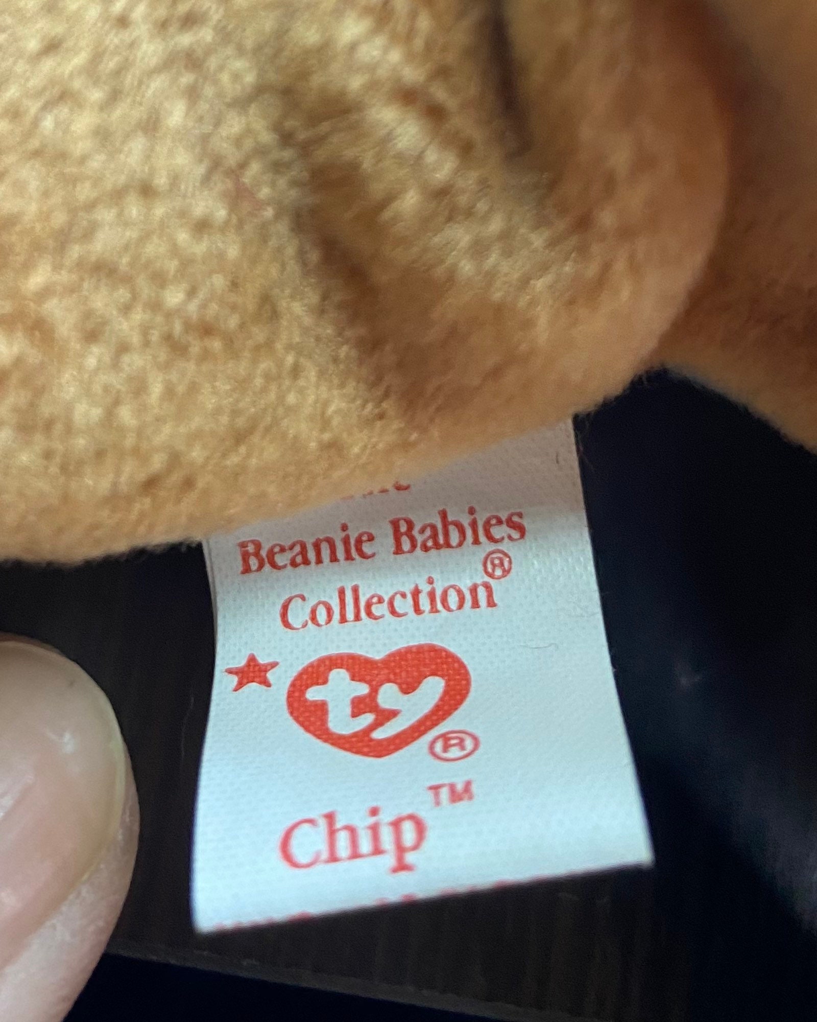 ULTRA RARE Chip Beanie Baby With ERRORS Mispelled Jenuary - Etsy