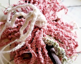 Posh Push Parrot Toy