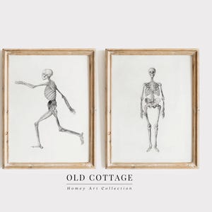 Skeleton Wall Art | Skeleton Gallery Wall | Halloween Skeleton Gallery | Halloween Art Prints | Skeleton Sketch Prints | Halloween Skeleton