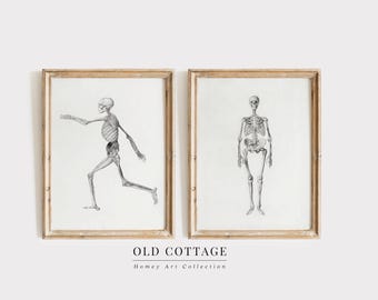 Skeleton Wall Art | Skeleton Gallery Wall | Halloween Skeleton Gallery | Halloween Art Prints | Skeleton Sketch Prints | Halloween Skeleton