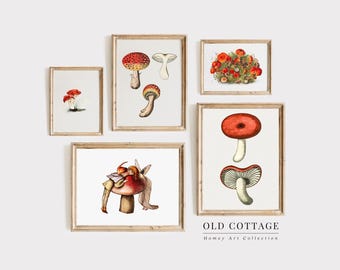 Galleria d'arte murale di funghi / Galleria di dipinti di funghi / Decorazioni murali di funghi carini / Stampe artistiche di funghi / Stampe artistiche di fate e funghi