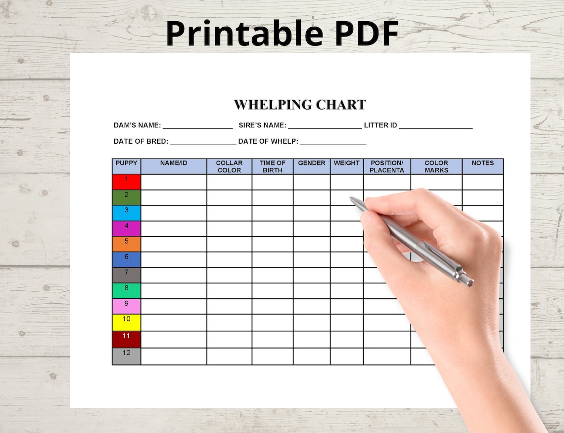 Wheping Chart Whelping Chart Editable, Whelping Record, Puppy Whelping, Breeder Forms ...