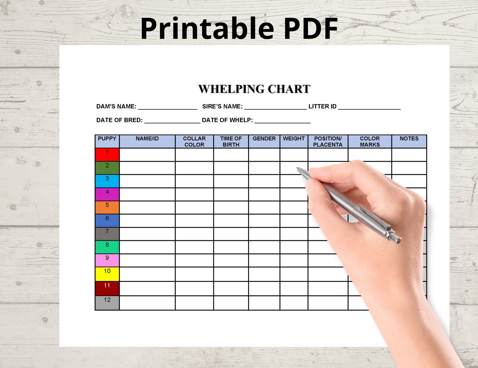 Whelping Chart Editable, Whelping Record, Puppy Whelping, Breeder Forms