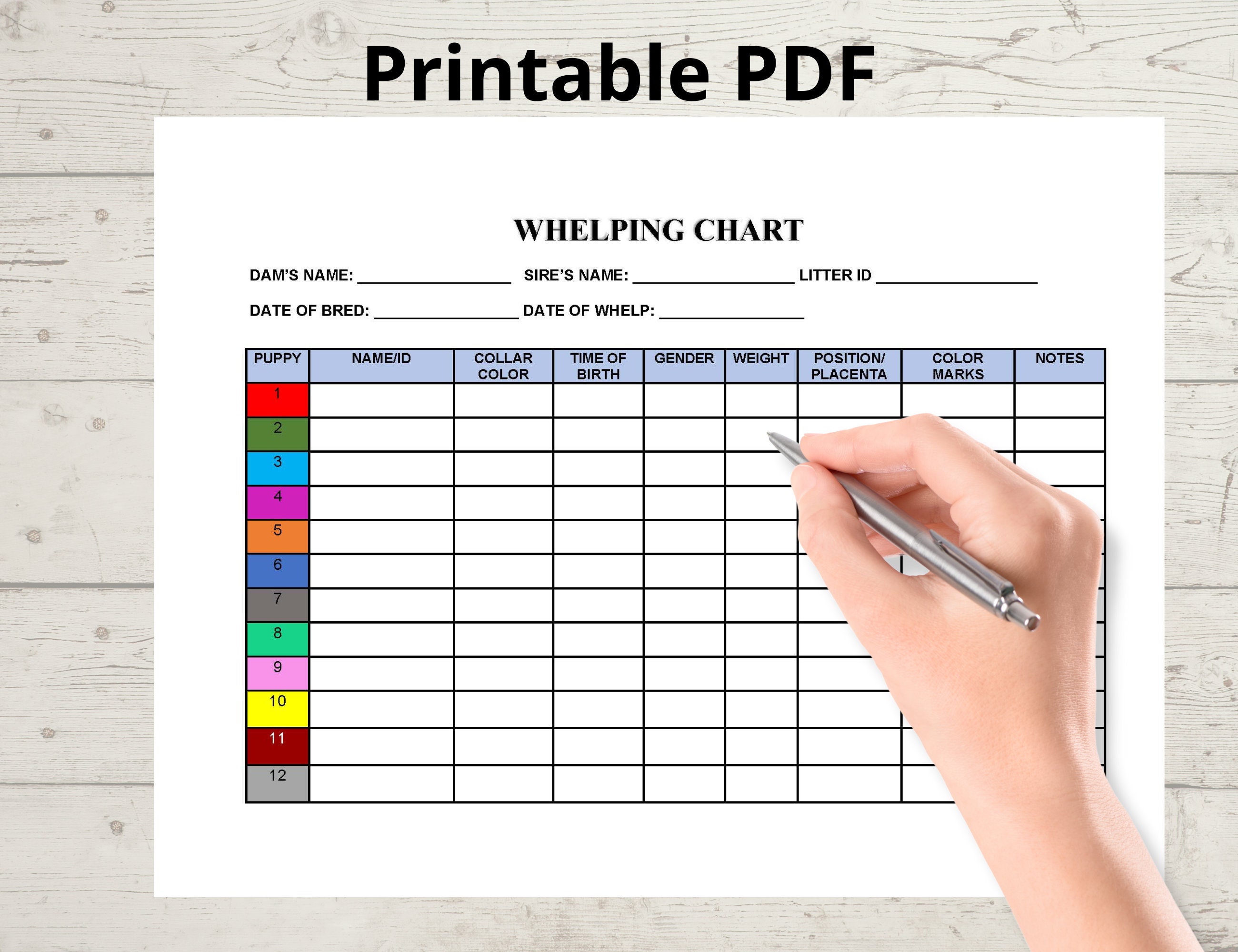 Whelping Chart Editable Whelping Record Puppy Whelping Etsy