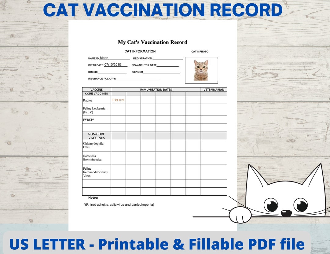 Tarmfunktion ur ignorere Cat Vaccination Record Cat Health Record Cat Shot Record - Etsy