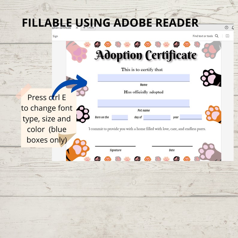 Cat or kitted adoption certficate editable