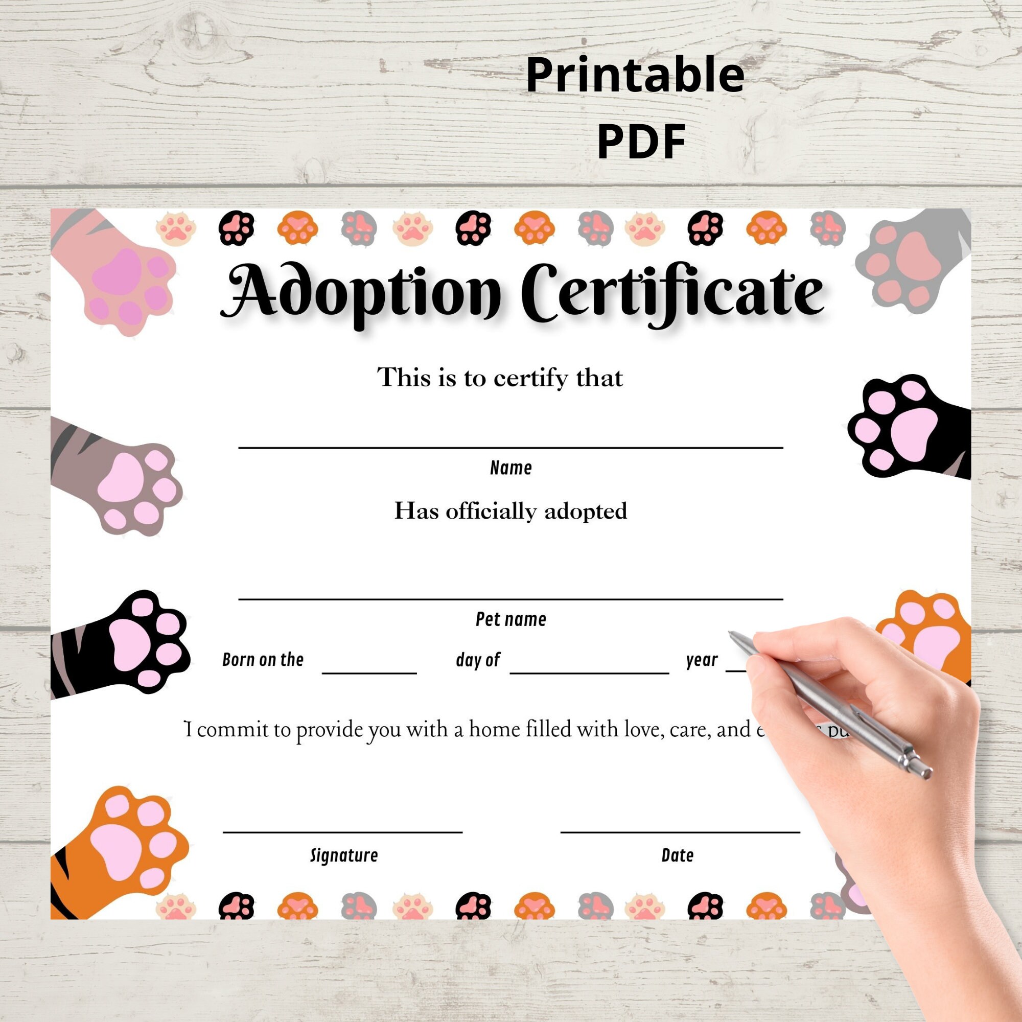 pet-adoption-certificate-cat-adoption-party-kitten-adoption-certificate-instant-download-pdf-fillable-printable-etsy