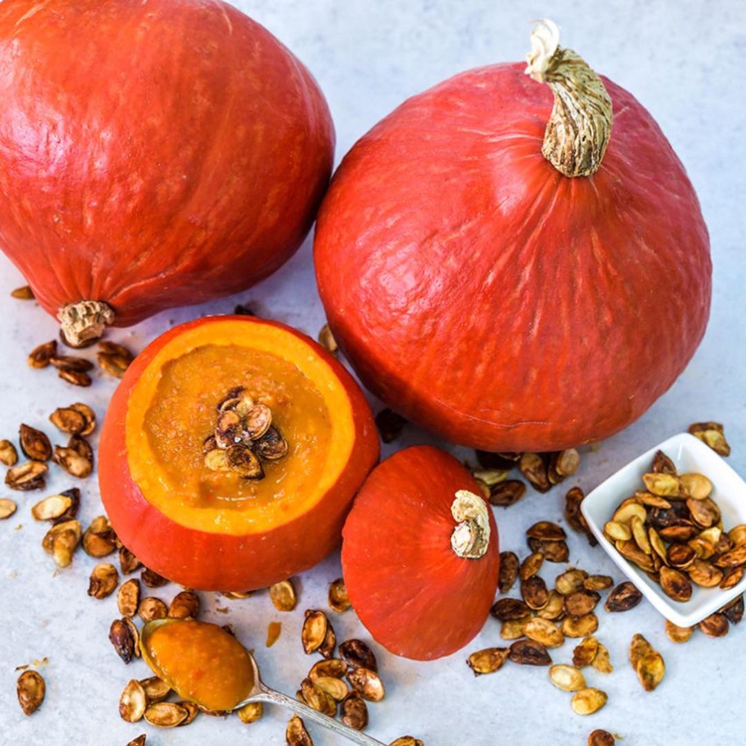 25+ Seeds | Red Kuri Squash, Heirloom Non GMO Vegetable Seeds for ...