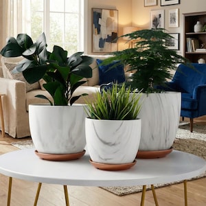 May include: Three white marble-patterned ceramic planters of varying sizes, each with a terracotta-colored saucer. The planters hold green plants, including a large-leafed plant, a fern, and a grassy plant. The planters are on a white table.