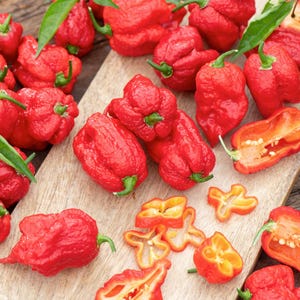 100 Carolina Reaper Pepper Seeds – Super Hot Chili for Garden or Container Growing, Heirloom Spicy Variety for Warm Climates USA