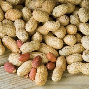 May include: A close-up shot of a pile of peanuts, some in their shells and others shelled. The peanuts in their shells are beige and textured, while the shelled peanuts are reddish-brown. The image is well-lit, showing the details of the nuts.