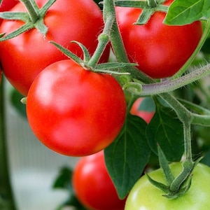 May include: A white ceramic mug with a black handle and the text "But First, Coffee" in a bold, black font. The mug is set against a blurred background, suggesting a cozy setting.