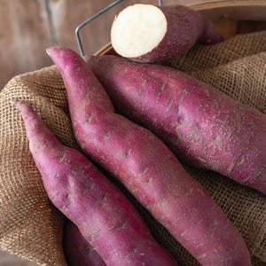 May include: Close-up of several purple sweet potatoes in a woven basket. One sweet potato is cut in half, revealing the white flesh. The potatoes have a smooth, elongated shape and are arranged on a burlap-lined basket.