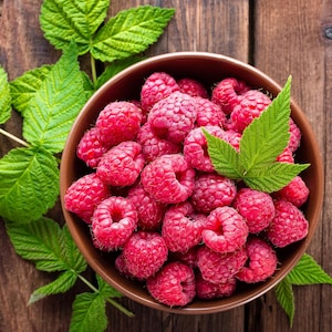 40+ Red Raspberry Seeds – Sweet Summer Berry Variety for Home Gardens, Hardy Fruit Plant for Containers, Raised Beds, or Backyard Harvests
