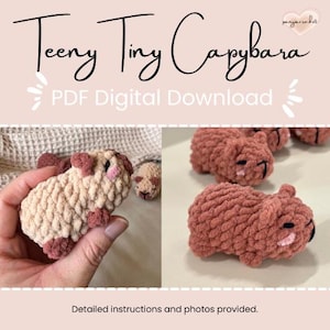 May include: A digital download pattern for crocheting a small capybara. The pattern includes detailed instructions and photos. The image shows a crocheted capybara in pink and beige.
