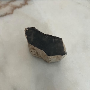 May include: A piece of petrified wood with a dark gray top and a light tan, textured bottom. The wood has a natural, rough appearance and is set against a white marble surface.