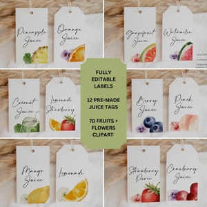Modern Juice Tag Mimosa Bar Template Watercolor Fruit Drink Tag Minimalist Juice Label For Mimosa Bar Simple Buffet Food Label Editable