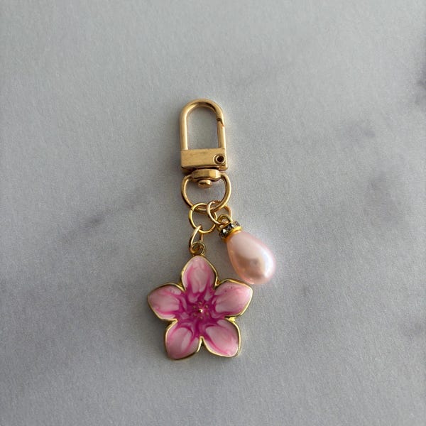 Cash Binder/Purse Charms