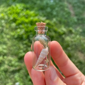May include: A small glass bottle with a cork stopper, containing a seashell and dried flowers. The bottle is held in a hand against a blurred green background.