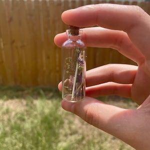 Large Curio Jar Coyote Teeth and Flowers