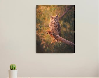 Majestic Great Horned Owl Stretched Canvas Print | Northern Arizona Wildlife Photography