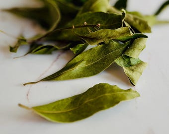 Organic Turkish Bay Leaves: Fresh or Dried Culinary Laurel