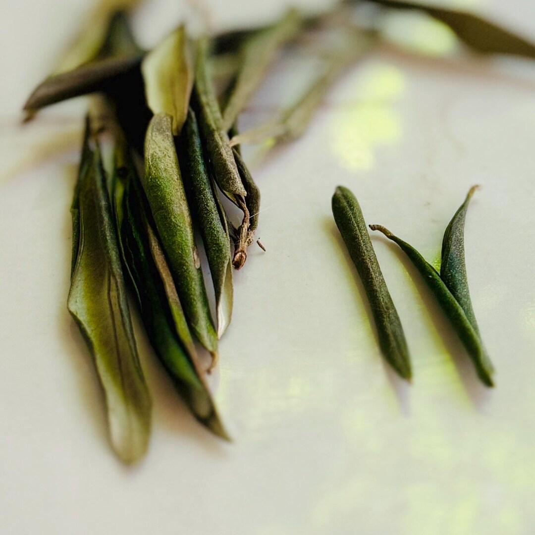 Dried Olive Leaves: Organic Herbal Tea, Skincare & DIY - 2 Oz Bulk - Etsy