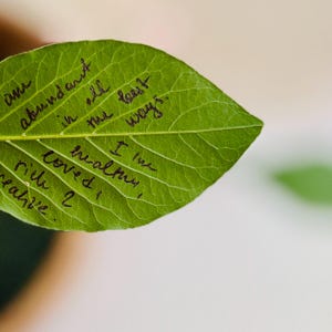 May include: A bright green leaf with handwritten affirmations in black ink. The text includes phrases such as "abundant," "healthy," and "loved." The leaf's texture and the handwritten script create a natural, organic aesthetic.