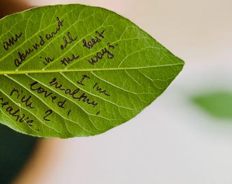 Large Bay Leaves: Organic Witchcraft Rituals, Love Spells