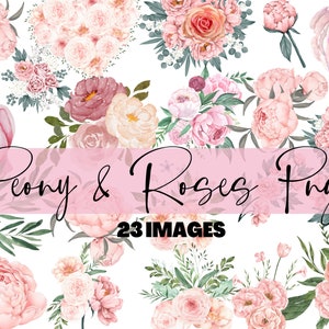 Peony and Roses Png Bundle, Watercolour Flowers, Floral Clipart, Blush Flowers, Elegant Flower Elements, Transparent Png, Commercial Use