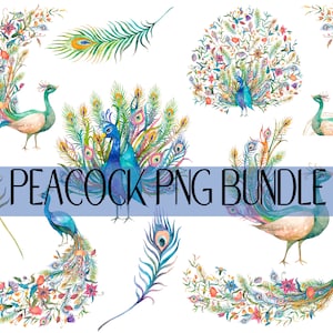 Peacock PNG Sublimation Bundle, Peacock Feathers PNG, Open Tail Peacock, Blue Green Peacock Bird Images, Peacock Clipart,