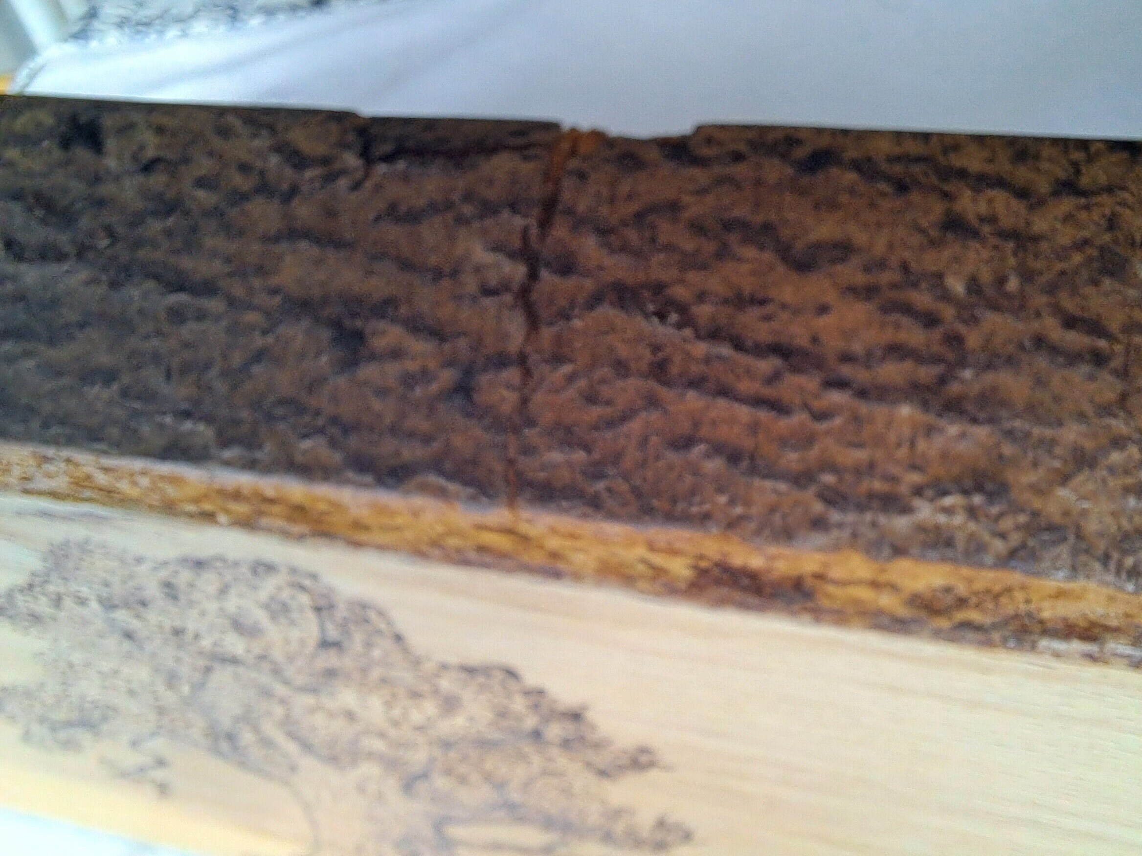 Pyrography Drawing of an Oak Tree by the Wood Rescuer - Etsy UK