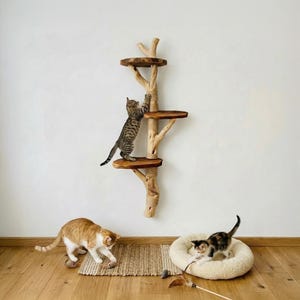 Klättervägg för katt i trädgrenar, drivved, unika klösträd i naturligt trä