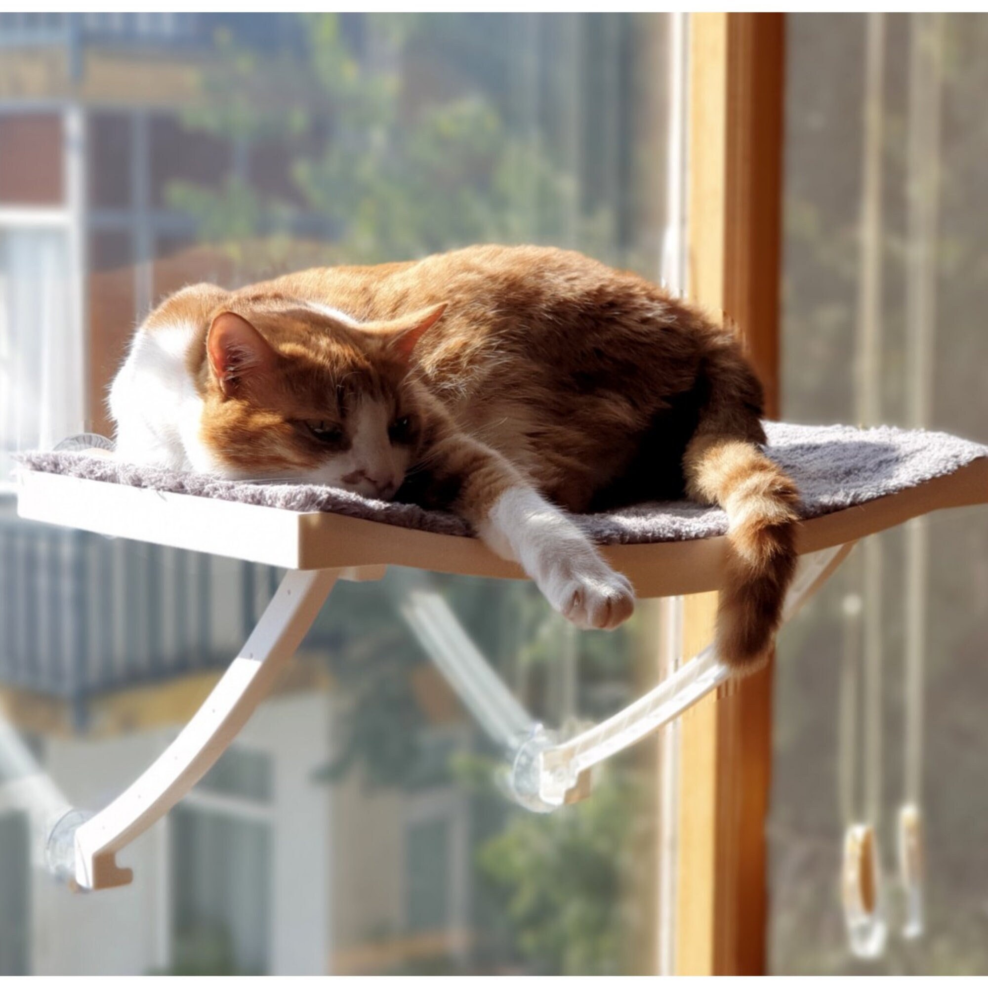 Гамак для кошек на окно своими руками