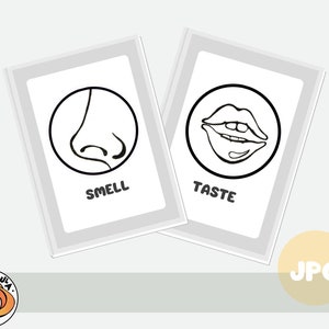 Five Senses Activity Printable, 5 Senses Colorin Pages, Homeschool ...