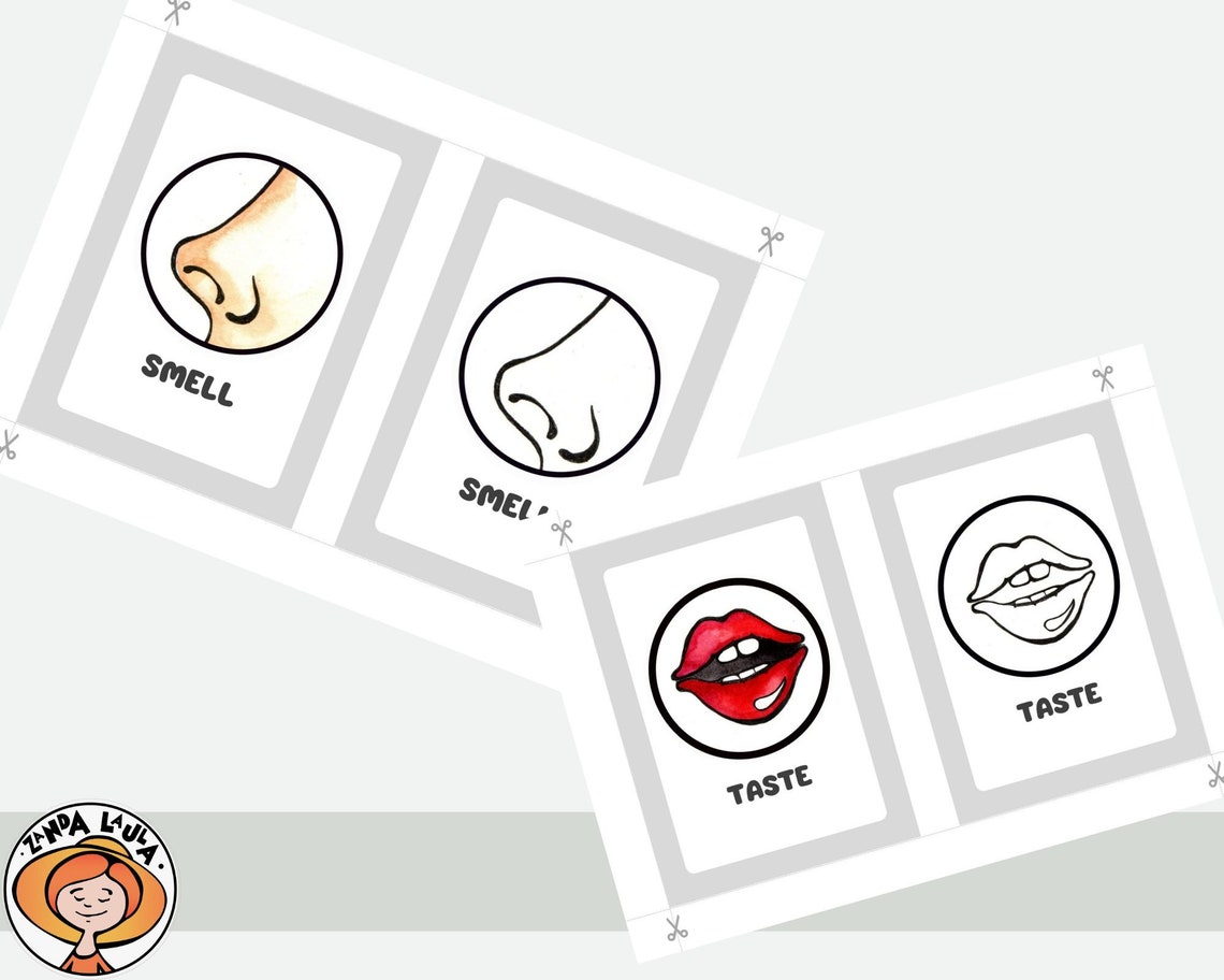Five Senses Activity Printable, 5 Senses Colorin Pages, Homeschool ...