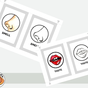 Five Senses Activity Printable, 5 Senses Colorin Pages, Homeschool ...