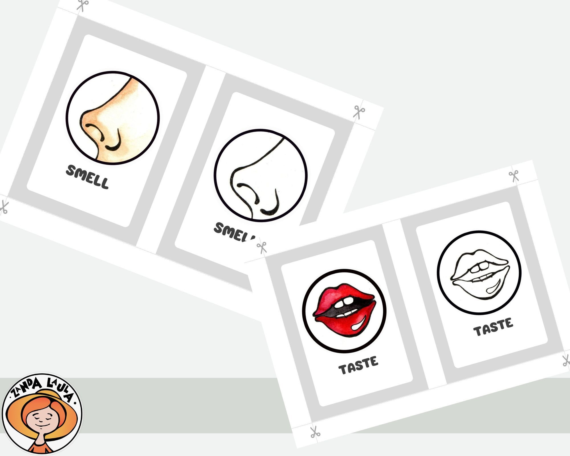 Five Senses Activity Printable 5 Senses Colorin Pages Homeschool Five Senses Activity Printable 5 Senses Colorin Pages Homeschool