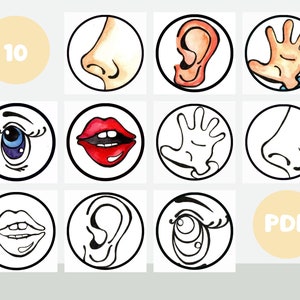 Five Senses Activity Printable, 5 Senses Colorin Pages, Homeschool ...