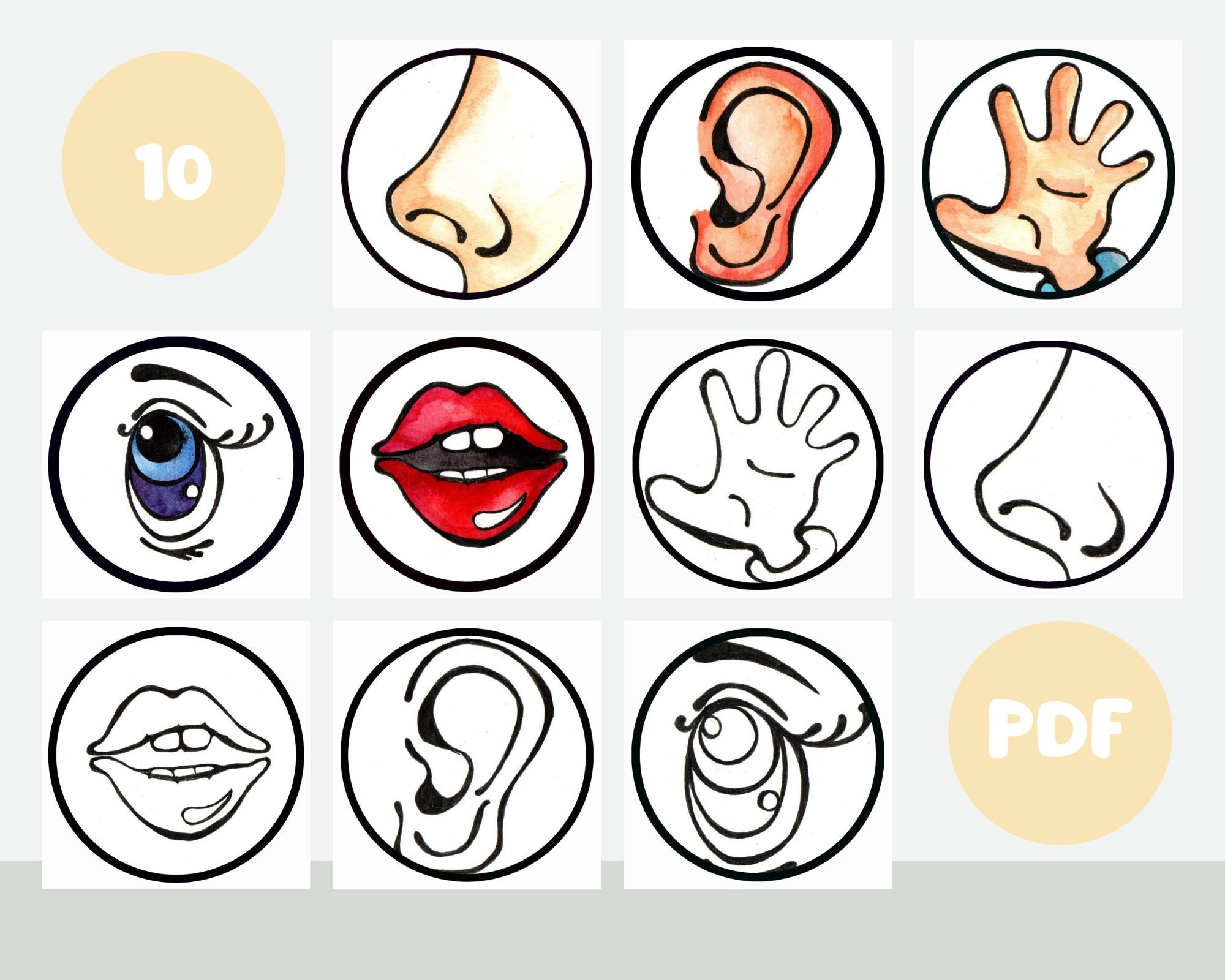 Five Senses Activity Printable 5 Senses Colorin Pages Homeschool Five Senses Activity Printable 5 Senses Colorin Pages Homeschool